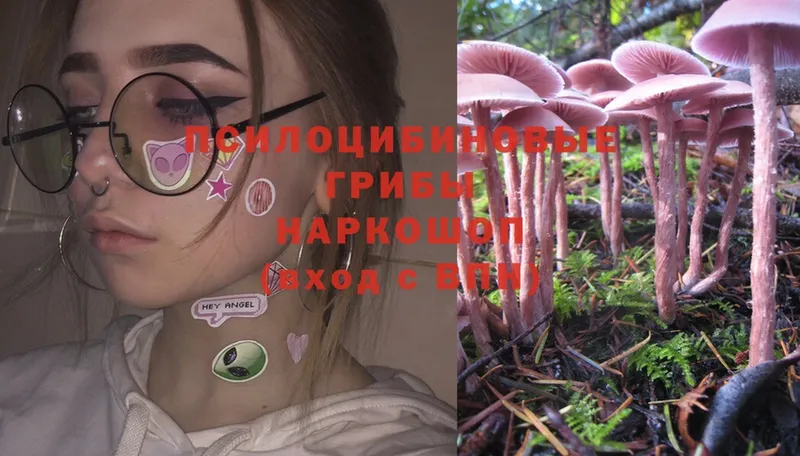 Псилоцибиновые грибы Psilocybe  как найти закладки  Волоколамск 